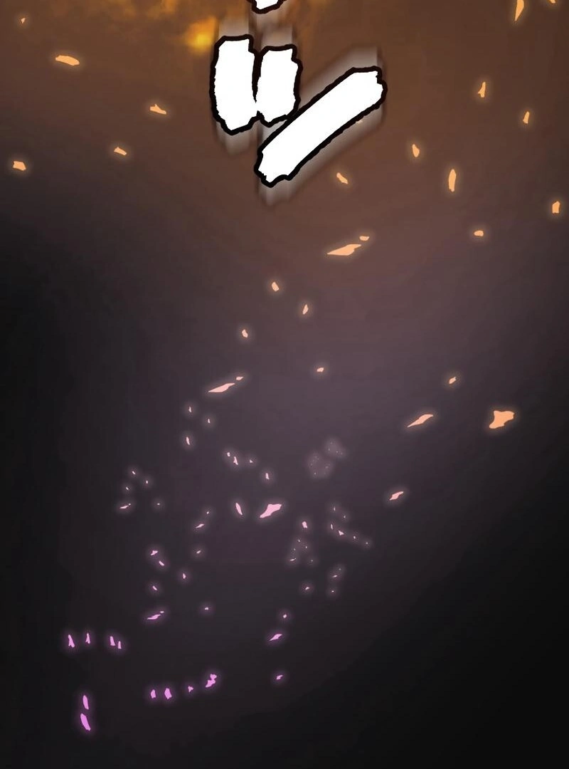 67008433 800 1080 49284