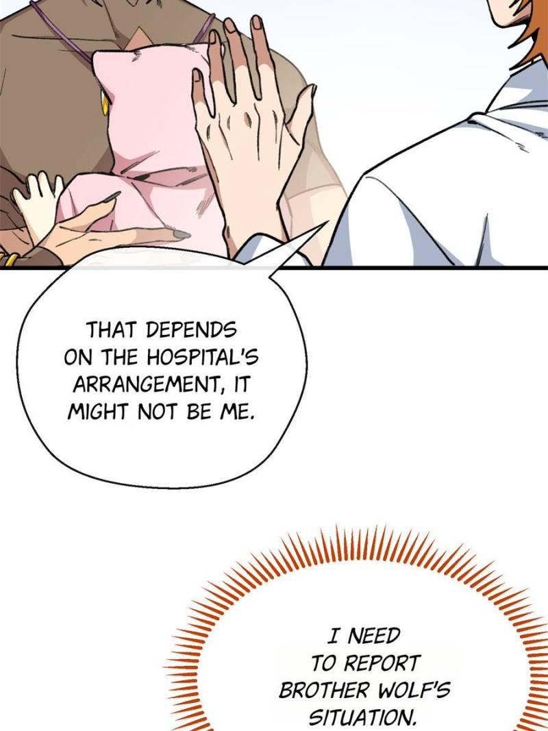 80990480 800 1067 74712